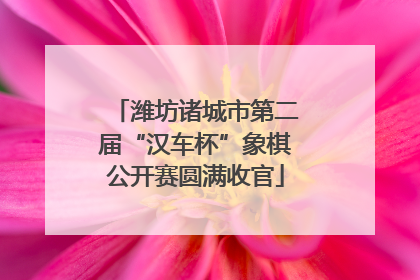 潍坊诸城市第二届“汉车杯”象棋公开赛圆满收官