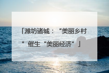 潍坊诸城：“美丽乡村”催生“美丽经济”