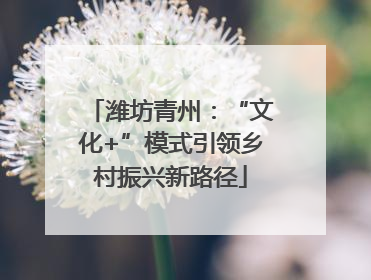 潍坊青州：“文化+”模式引领乡村振兴新路径