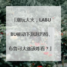 潮玩大火，LABUBU催动下泡泡玛特、布鲁可大涨该咋看？