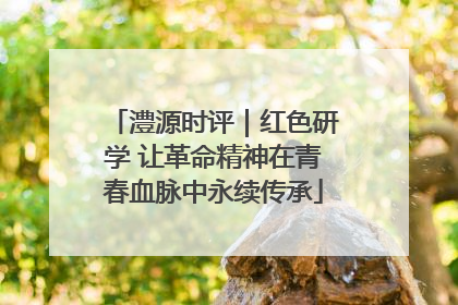 澧源时评｜红色研学 让革命精神在青春血脉中永续传承
