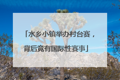 水乡小镇举办村台赛，背后竟有国际性赛事