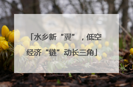 水乡新“翼”，低空经济“链”动长三角