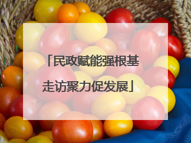 民政赋能强根基 走访聚力促发展