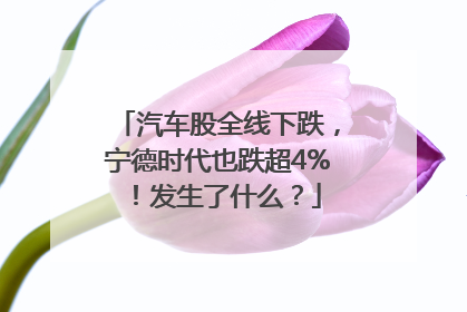 汽车股全线下跌，宁德时代也跌超4%！发生了什么？