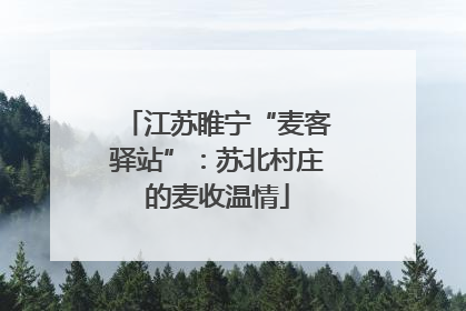 江苏睢宁“麦客驿站”：苏北村庄的麦收温情