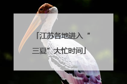 江苏各地进入“三夏”大忙时间