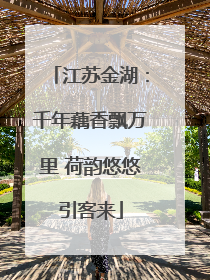 江苏金湖：千年藕香飘万里 荷韵悠悠引客来