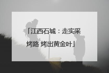 江西石城：走实采烤路 烤出黄金叶