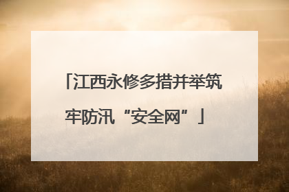 江西永修多措并举筑牢防汛“安全网”