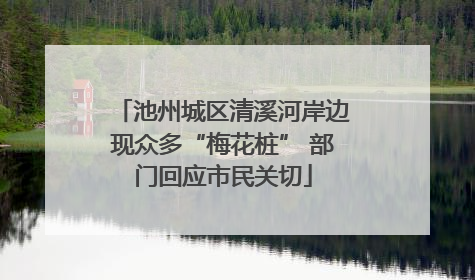 池州城区清溪河岸边现众多“梅花桩” 部门回应市民关切