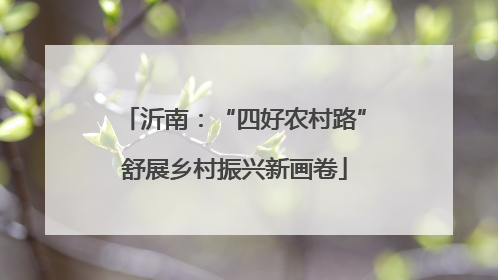 沂南：“四好农村路”舒展乡村振兴新画卷