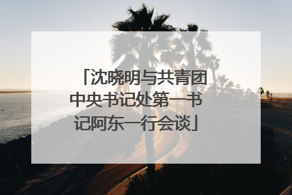 沈晓明与共青团中央书记处第一书记阿东一行会谈