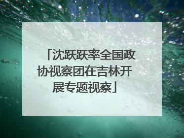 沈跃跃率全国政协视察团在吉林开展专题视察
