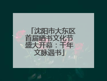 沈阳市大东区首届晒书文化节盛大开幕：千年文脉遇书