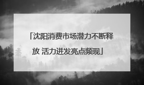 沈阳消费市场潜力不断释放 活力迸发亮点频现