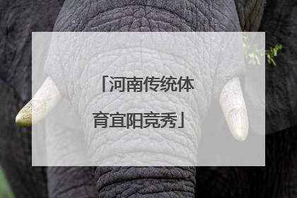 河南传统体育宜阳竞秀