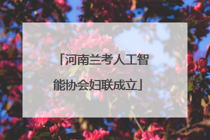 河南兰考人工智能协会妇联成立