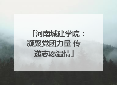 河南城建学院：凝聚党团力量 传递志愿温情