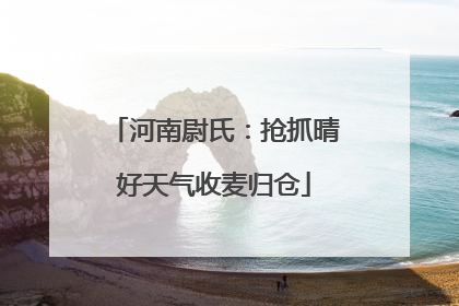 河南尉氏：抢抓晴好天气收麦归仓