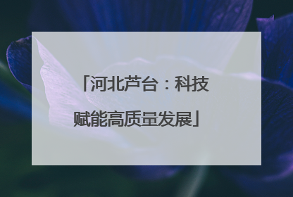 河北芦台：科技赋能高质量发展