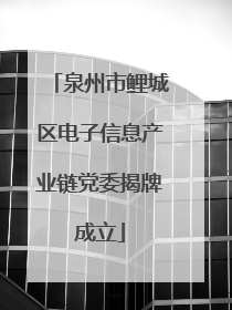 泉州市鲤城区电子信息产业链党委揭牌成立
