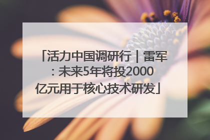 活力中国调研行｜雷军：未来5年将投2000亿元用于核心技术研发