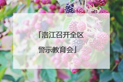 洛江召开全区警示教育会