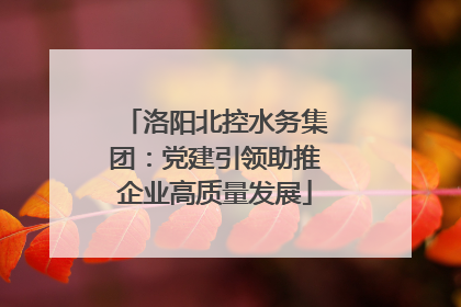 洛阳北控水务集团：党建引领助推企业高质量发展