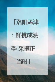 洛阳孟津：鲜桃成熟季 采摘正当时