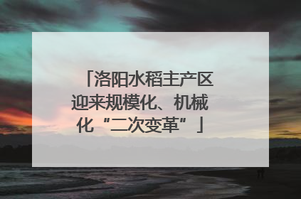 洛阳水稻主产区迎来规模化、机械化“二次变革”