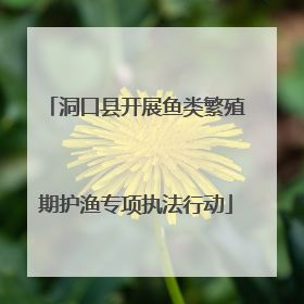 洞口县开展鱼类繁殖期护渔专项执法行动