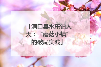 洞口县水东镇人大：“蘑菇小镇”的破局实践