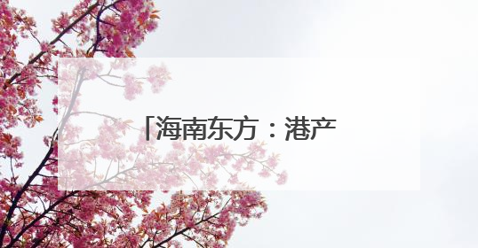 海南东方：港产城融合走新路