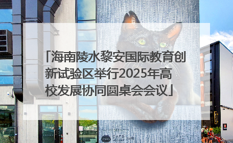 海南陵水黎安国际教育创新试验区举行2025年高校发展协同圆桌会会议