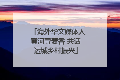 海外华文媒体人黄河寻麦香 共话运城乡村振兴