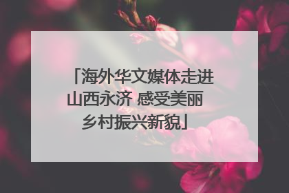 海外华文媒体走进山西永济 感受美丽乡村振兴新貌