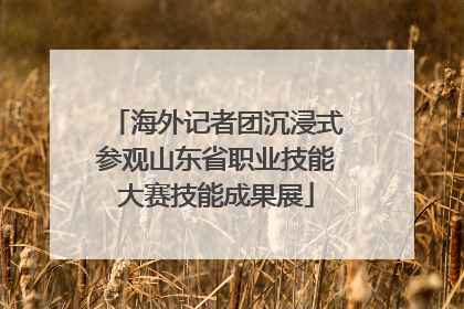 海外记者团沉浸式参观山东省职业技能大赛技能成果展