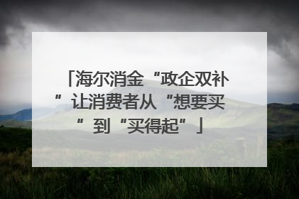 海尔消金“政企双补”让消费者从“想要买”到“买得起”
