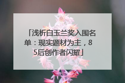浅析白玉兰奖入围名单：现实题材为主，85后创作者闪耀