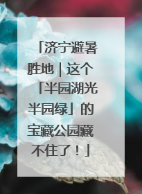济宁避暑胜地｜这个「半园湖光半园绿」的宝藏公园藏不住了！