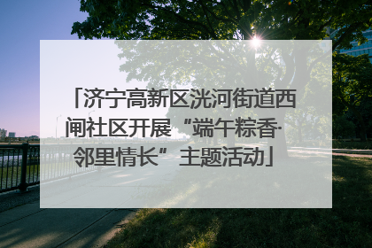 济宁高新区洸河街道西闸社区开展“端午粽香·邻里情长”主题活动
