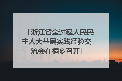 浙江省全过程人民民主人大基层实践经验交流会在桐乡召开