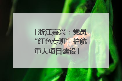 浙江嘉兴：党员“红色专班”护航重大项目建设