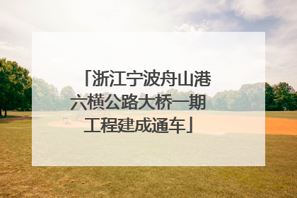 浙江宁波舟山港六横公路大桥一期工程建成通车