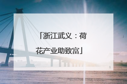 浙江武义：荷花产业助致富