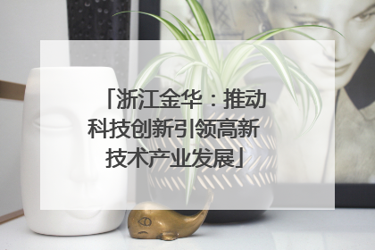 浙江金华：推动科技创新引领高新技术产业发展