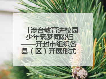 涉台教育进校园 少年筑梦同盼归——开封市组织各县（区）开展形式多样的涉台宣传教育进校园活动