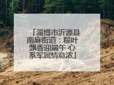 淄博市沂源县南麻街道：粽叶飘香迎端午 心系军属情意浓