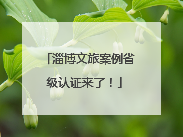 淄博文旅案例省级认证来了！